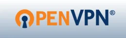 OpenVPN is commonly used to establish virtual private networks world-wide