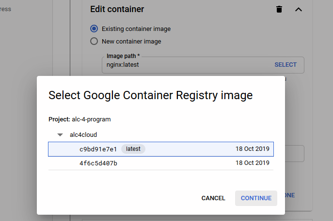 Select the image from the Google Container Registry