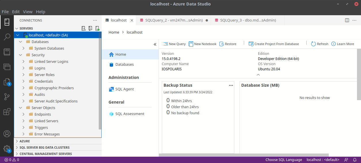 Azure Data Studio connected to local instance of SQL Server 2019