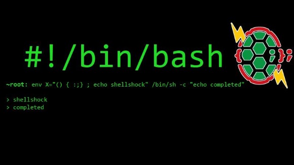 MSCC meetup: Discussion about the bash shellshock vulnerability and practical advice to secure your systems.